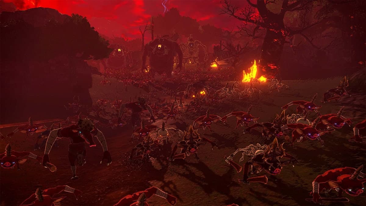 Hyrule Warriors Age of Imprisonment Switch 2